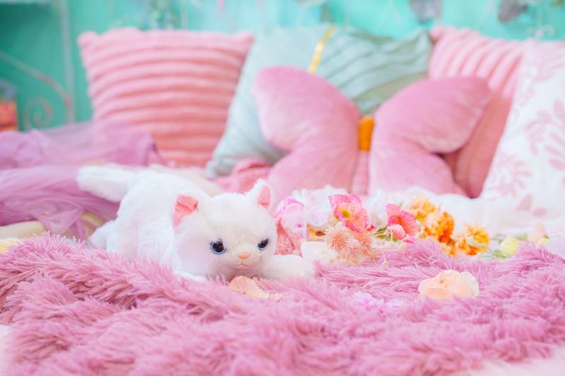 色彩豊かな花と自然光いっぱいのハウススタジオ - マリースタジオ