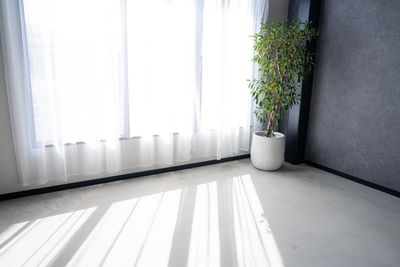 STUDIO QOQO STUDIO QOQO【スタジオ ココ】大阪あびこ店の室内の写真