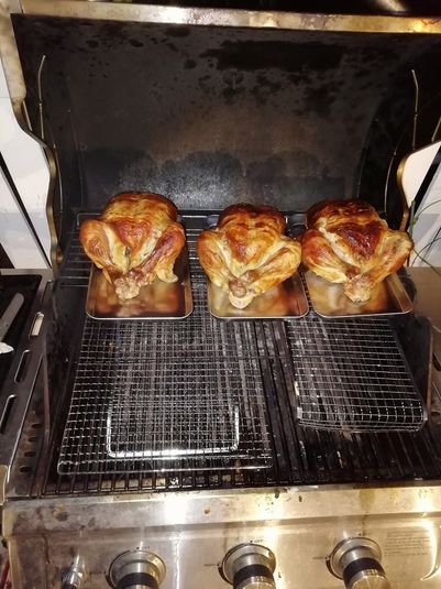 2時間プラン　B席　8名 - ハコスBBQガーデン