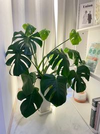 Relax salon 円山町 Relax salon 円山町｜プライベートサロン💆‍♀️の室内の写真