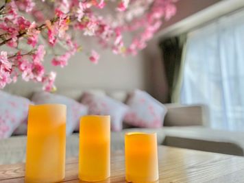 Nemica HOME 蒲田　 Nemica HOME 蒲田　 [Nemica蒲田2]の室内の写真