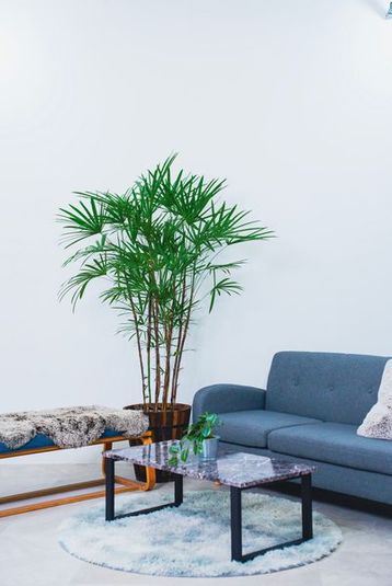 大阪南堀江　撮影スタジオ　STUDIO SUN（ｽﾀｼﾞｵｻﾝ） - 撮影スタジオ　STUDIO SUN