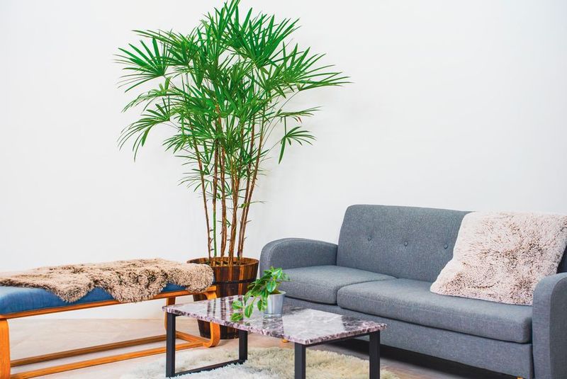 大阪南堀江　撮影スタジオ　STUDIO SUN（ｽﾀｼﾞｵｻﾝ） - 撮影スタジオ　STUDIO SUN