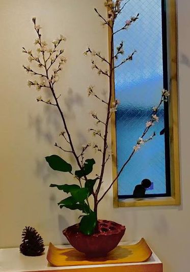 レンタルサロン　ゆらぎすぺーす二条 - ゆらぎスペース二条　中島オフィス2F 