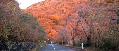 紅葉も美しい観光道路 - 湯河原パークウェイ+バイカーズパラダイス南箱根 終日プラン（6:00-22:00) :16時間　平常期の室内の写真