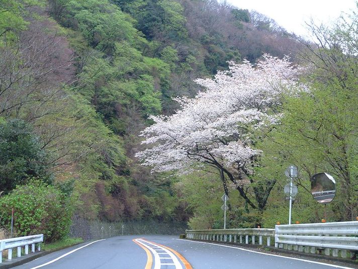 日中短時間4時間連続プラン　(9-17時の連続4時間）平常期 - 湯河原パークウェイ+バイカーズパラダイス南箱根
