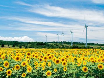 郡山布引風の高原 - 東横INN成田空港本館 シングルのその他の写真