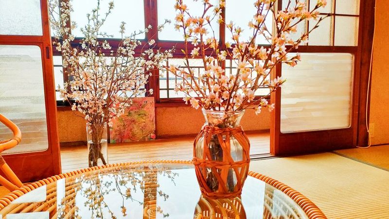 🌸本物の桜×アートでインドア花見🌸キッズスペース付き古民家 - Co育て×Coワーキング 結 -You-