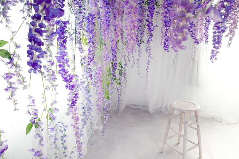 studio Claudel - Broom - - studio Claudel