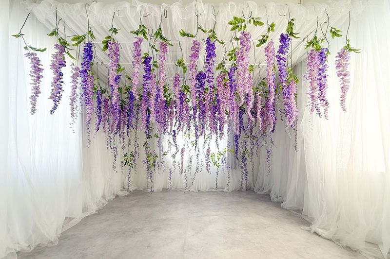 studio Claudel - Broom - - studio Claudel