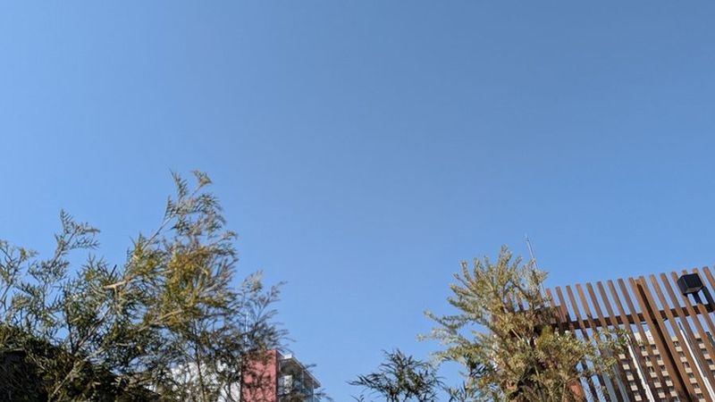 ヒツジビルR - ヒツジビルＲ