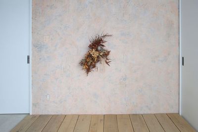 多彩な背景を利用した様々な撮影が可能です - STUDIO KNOT (ノット) STUDIO KNOT（ノット）の室内の写真