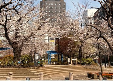 現地正面の南桜公園 - たまりば新橋虎ノ門 ParkFrontのその他の写真