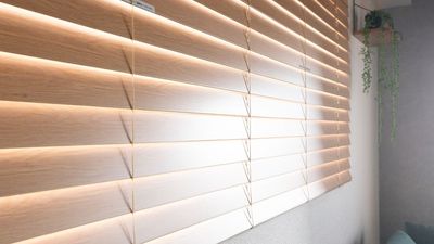 645_LIVING福岡大名の室内の写真