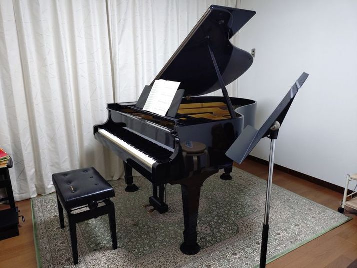 ムジカアニマ音楽スタジオ - ムジカアニマ音楽スタジオ