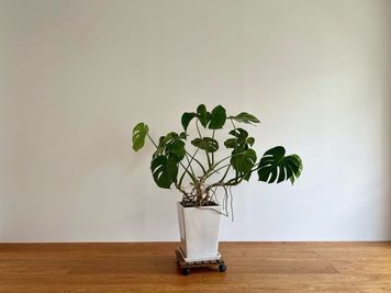 Scott Mansion Scott Mansion_曙橋の設備の写真