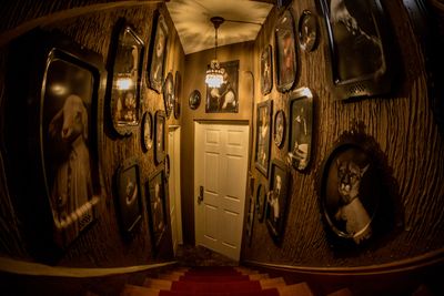 Studio Rosarium 3F「ヴァイスヴァルトの花嫁」の室内の写真