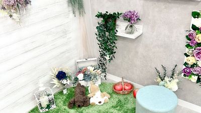 グリーンが映える２つの壁 - L-studio L-studio｜RoomAの室内の写真