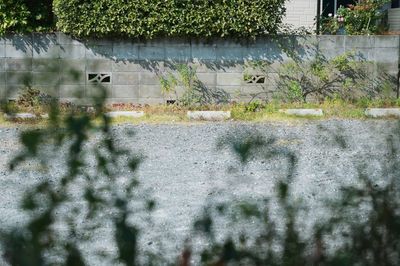 駐車場最大７台 - イエノコト 古民家風平屋の軒先レンタルスペースの設備の写真