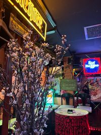 当店１階バーカウンター前の客席に桜🌸設置いたしました‼️ お花見気分で春のお集まりに是非‼️ - ROCKER'S BEACH HOUSE カラオケ歌い放題無制限🎤😁心斎橋、難波エリアから徒歩数分‼️の室内の写真