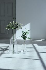 フェイクグリーン - 瞬間の連続 / 撮影スタジオ レンタル撮影スタジオの室内の写真