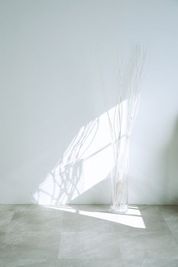 ドライブーケ - 瞬間の連続 / 撮影スタジオ レンタル撮影スタジオの室内の写真