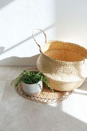 バスケットとフェイクグリーン - 瞬間の連続 / 撮影スタジオ レンタル撮影スタジオの室内の写真