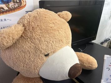 可愛いくまがいます。 - コワーキングスペースリコード久米川栄町店 【仕事が捗る】ワーキングスペースの室内の写真
