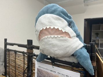 可愛いサメがいます。 - コワーキングスペースリコード久米川栄町店 【仕事が捗る】ワーキングスペースの設備の写真