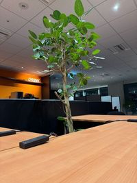 レンタルスペース　medi☆ST（メディスタ） 広々としたレンタルスペースmedi☆ST　会議室の室内の写真