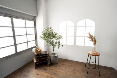 studio patio【スタジオパティオ早稲田】 撮影バリエーション多数！駅から徒歩3分/戸山公園すぐそばの室内の写真