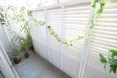 studio patio【スタジオパティオ早稲田】 撮影バリエーション多数！駅から徒歩3分/戸山公園すぐそばの室内の写真