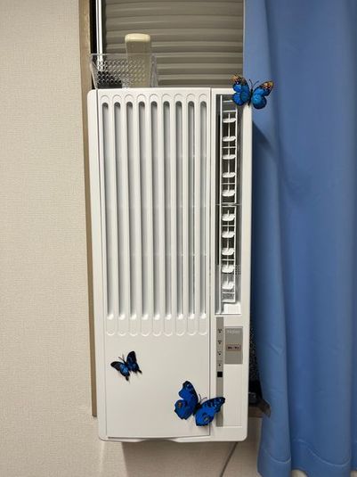 ヘッドスパスクール - シェーン(旧マイサワーン)