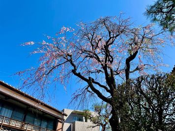 Makoto古民家ー若宮苑 【築100年・文化財級の古民家】日本庭園を楽しめる和風邸宅の室内の写真