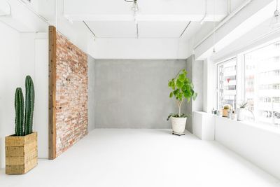 レンガとモルタル壁 - WHITE BALANCEの室内の写真