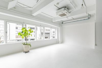 白ホリゾント - WHITE BALANCEの室内の写真