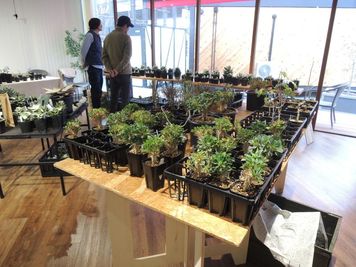 【利用事例の紹介】
植物販売のポップアップストア
※写真はイメージです。 実際のレイアウト・設備など異なる場合がありますので、ご注意ください。
 - U-SPACE　大和高田池尻店 Communityのその他の写真