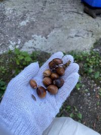 森の恵みあり - ガレージ工房　野島技研 【5日間4名まで】森の多目的倉庫/車旅/Wifi/ワーケーションの室内の写真