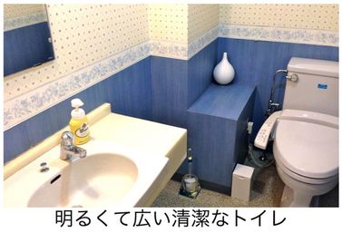 広くて、清潔なトイレ - 銀座小顔矯正 レンタルサロン、整体、施術院の設備の写真