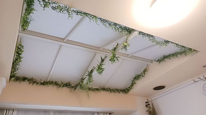 スペースコフレ‧✦‧南浦和ミモザ（MIMOZA)‧✦‧ - レンタルサロン ✦スペースコフレ✦南浦和ミモザ