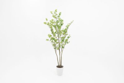 【スタジオエデン】STUDIO EDEN 新宿御苑前の設備の写真