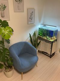 1人掛けソファとアクアリウムと観葉植物で癒し空間(観葉植物は入り口に移動しています。) - 小顔整体サロンREARX 癒しのプライベートサロン REARXの設備の写真