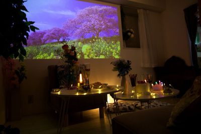 昼間でも遮光カーテンとハニカムシェードを下ろせばパーソナルシアターに変身！さらにダイニングとの間のカーテンを引けば映画館に近い暗さに持っていけます - スペースボン スペースボン　上前津 Gemini の室内の写真