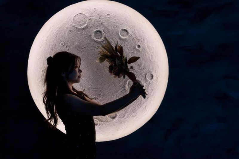 お月さまと超大型ドライフラワー造形で撮影できるフォトスタジオ - studio owl アールデコお茶の水店｜撮影スタジオ