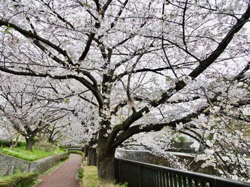 池袋・上野・王子・駅近8分・石神井川のほとりに佇むテラスハウスの室内の写真