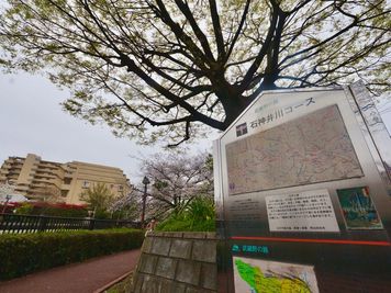 池袋・上野・王子・駅近8分・石神井川のほとりに佇むテラスハウスの室内の写真