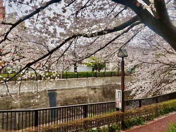 池袋・上野・王子・駅近8分・石神井川のほとりに佇むテラスハウスの室内の写真
