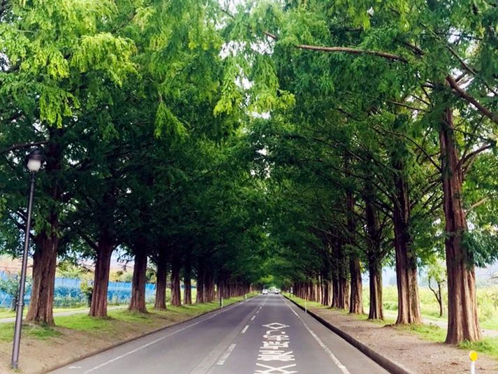 エコノミーダブル - 東横INN彦根駅東口