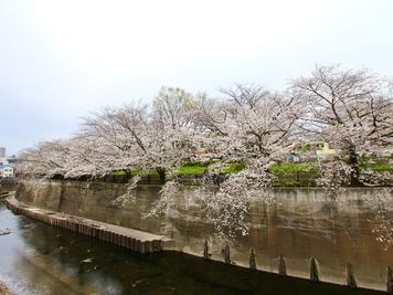 池袋・上野・王子・駅近8分・石神井川のほとりに佇むテラスハウスの室内の写真