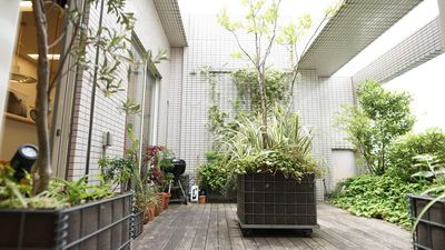 GYOEN NO KUUKAN GYOEN NO KUUKAN（撮影・イベント）の室内の写真